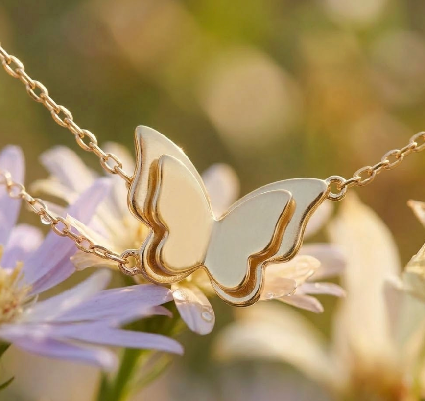 Our Butterfly Collection